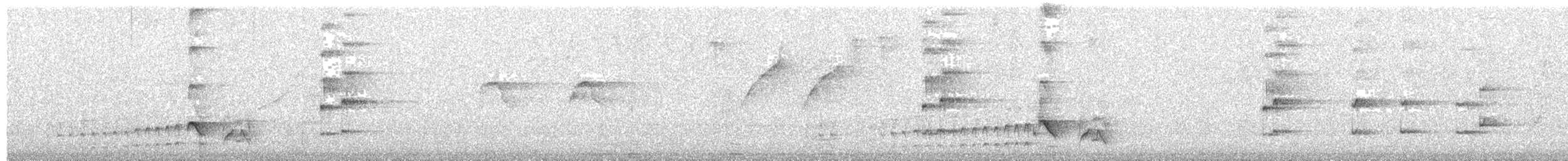 Grayish Mourner - ML373092441