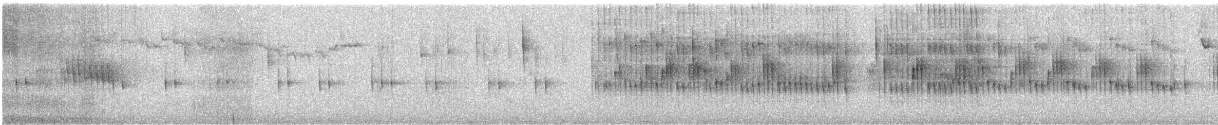 Picolezna Comesebo - ML373160581