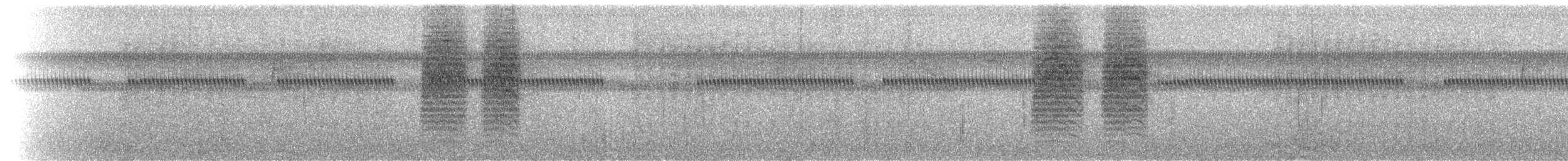 Troglodyte familier - ML37317191