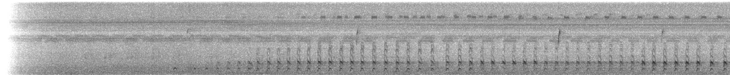 Helmspecht - ML37319571