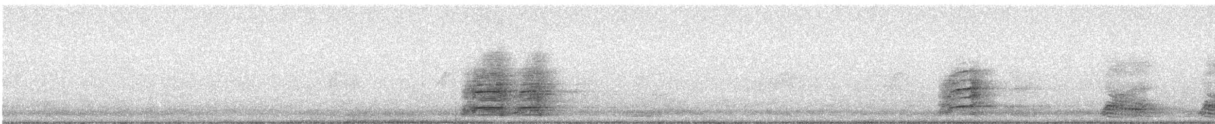 Бор галуу - ML373235571
