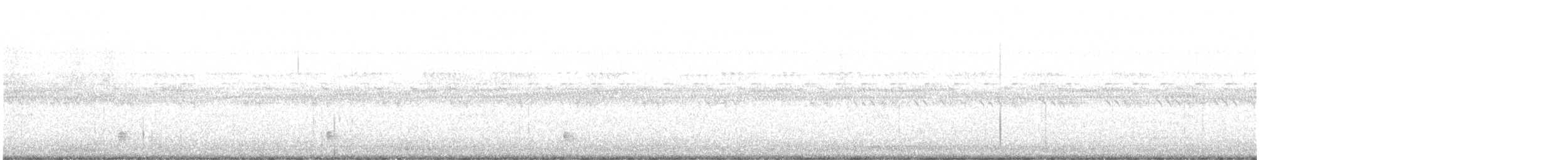 ホイップアーウィルヨタカ - ML373274731