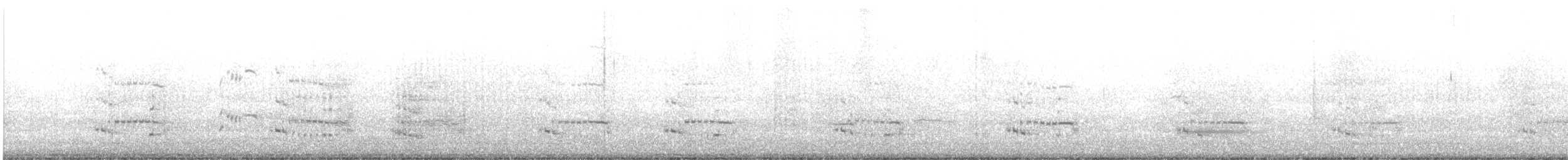 Royal Tern - ML373324971