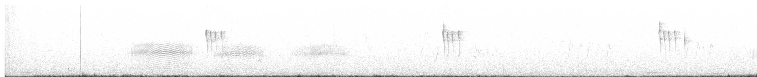 White-crested Tyrannulet (White-bellied) - ML373338421