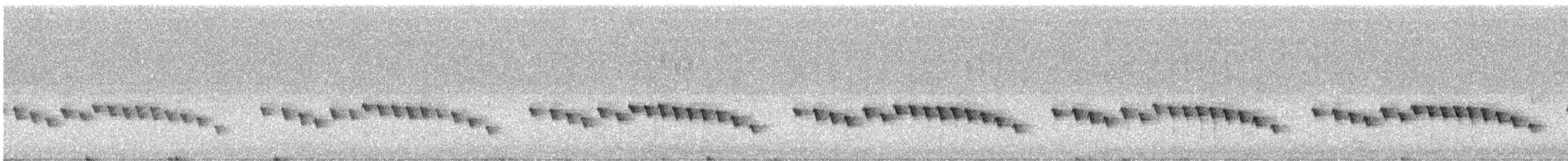 Gérygone des Chatham - ML373422611