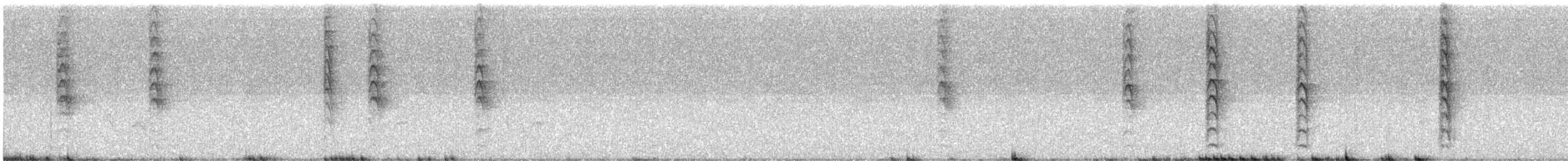 Новозеландская веерохвостка - ML373424561