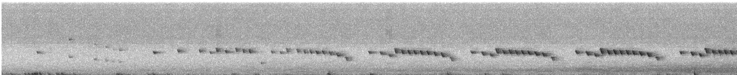 Gérygone des Chatham - ML373425121