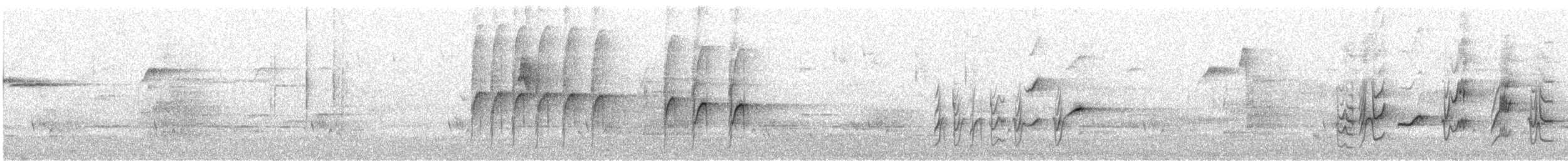 Swift Parrot - ML373437101