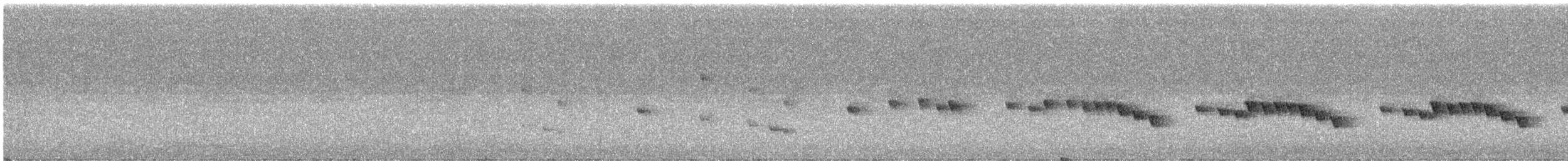 Gérygone des Chatham - ML373437941