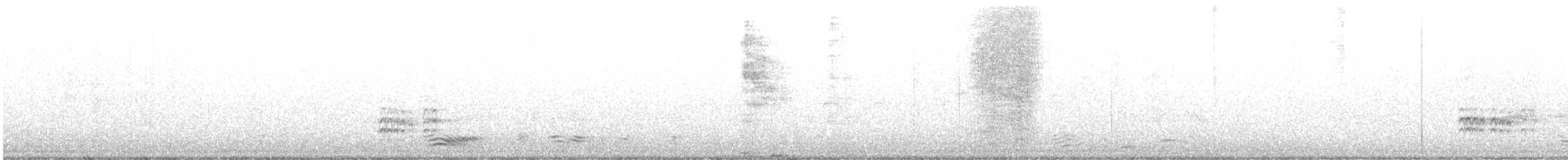 Weißbrustkleiber - ML373453901