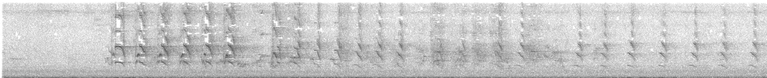 Long-tailed Parakeet - ML373487501