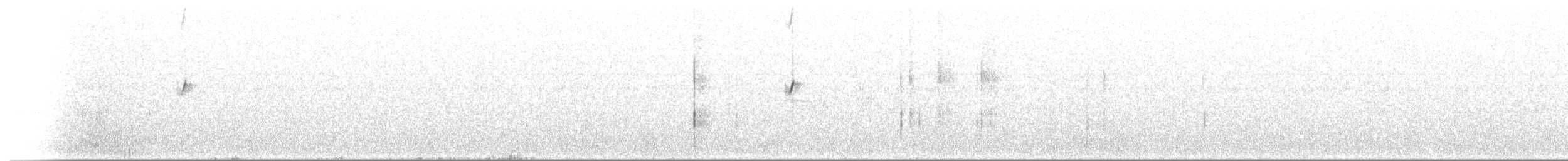 Белокрылая вдовка - ML373503621