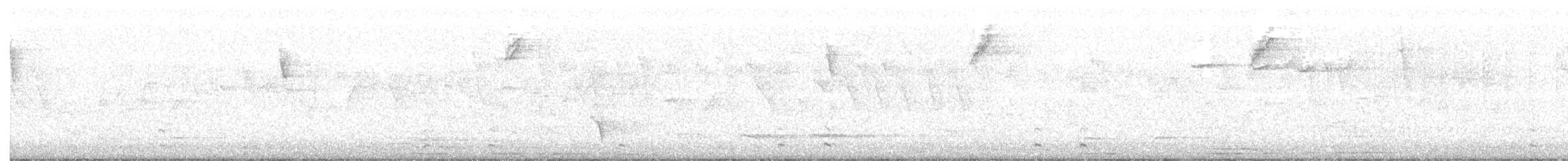 Blackish Tapaculo (Blackish) - ML373555841