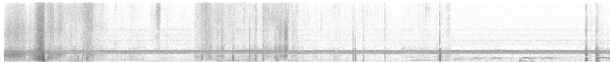 Сова плямиста - ML37356151