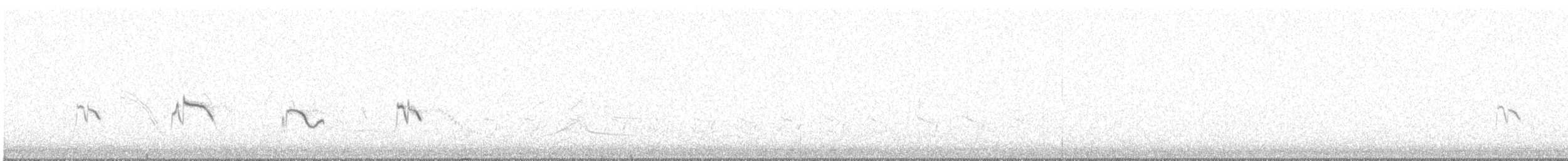 Weißbart-Ammertangare (melanodera) - ML373634981