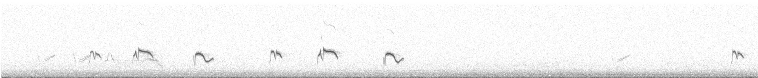 Mélanodère à sourcils blancs (melanodera) - ML373635361