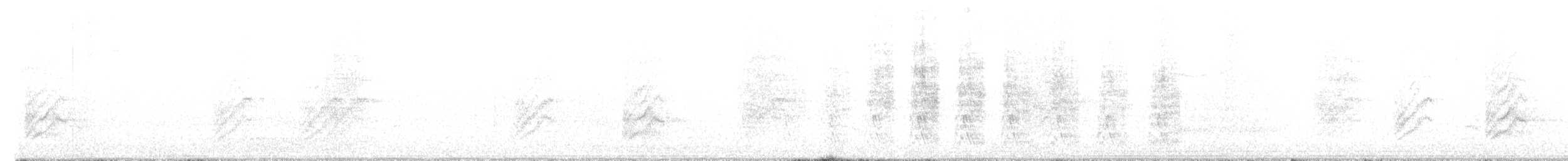 Полосатохвостый голубь - ML373696141