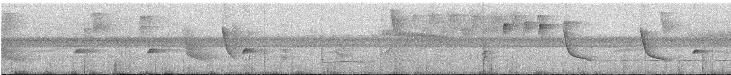 Черногорлый колибри-отшельник - ML37370241