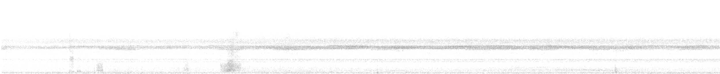 Barred Owl - ML373709541