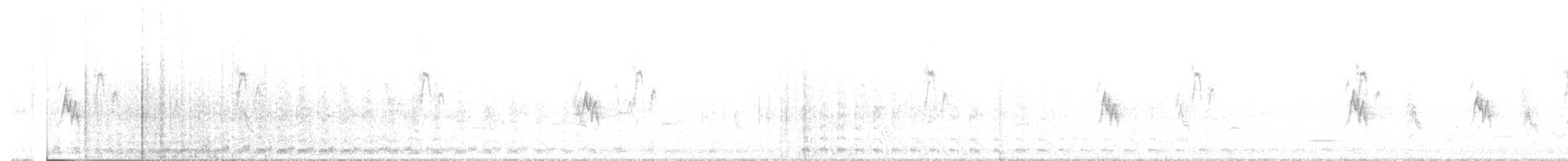 Yeni Zelanda Güvercini - ML373711301