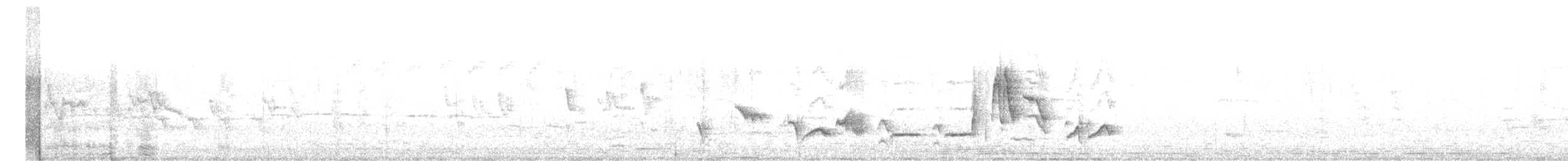 Graumantel-Brillenvogel - ML373717191