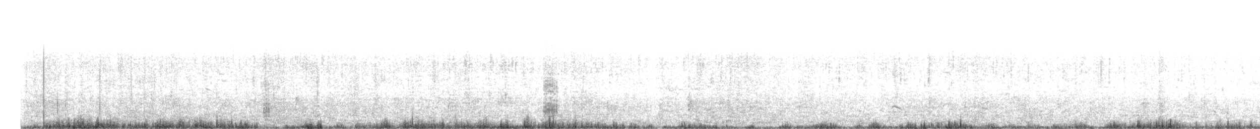 Mouette argentée (scopulinus) - ML373718041