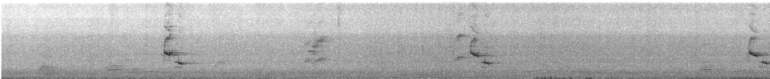 Australasian Figbird - ML373736381