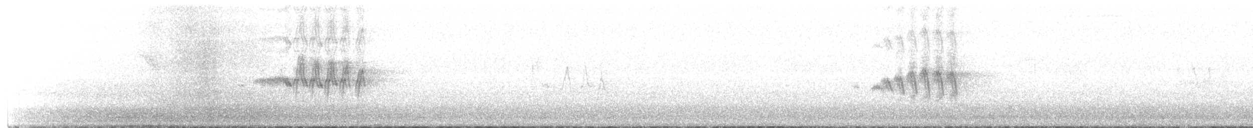 Горихвістка чорна (підвид gibraltariensis/aterrimus) - ML373755831