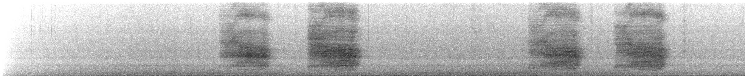 Chara de Steller (grupo coronata) - ML373786481