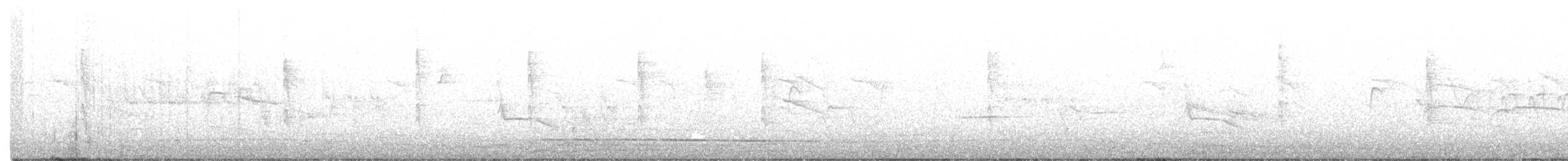Paruline à calotte noire - ML373801191