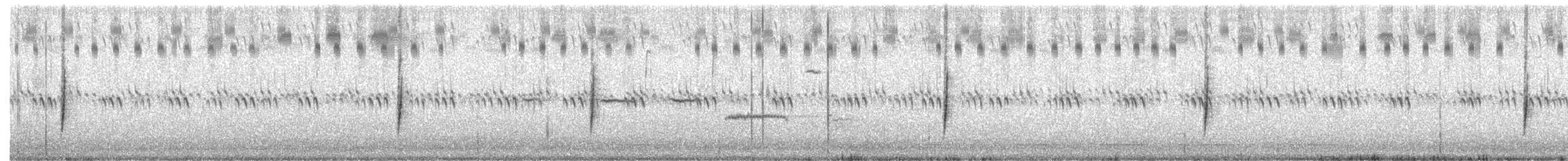 Rotschulterkardinal - ML37386161