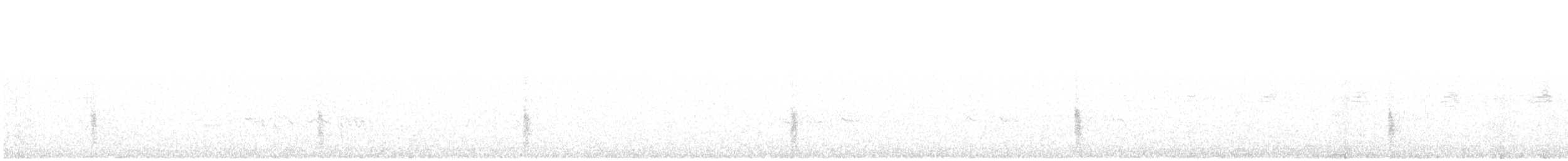 vlhovec lesklý (ssp. quiscula/stonei) - ML373891121