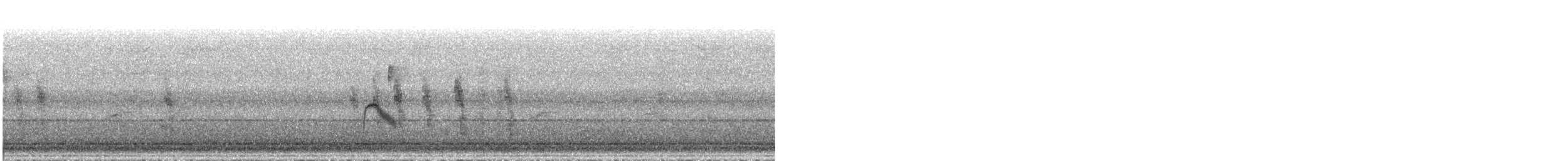 Gray-cheeked Thrush - ML373891321