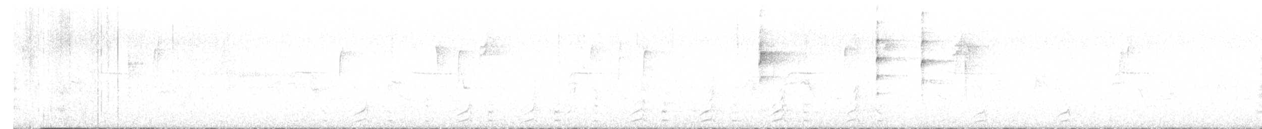 Gambel's Quail - ML373894761