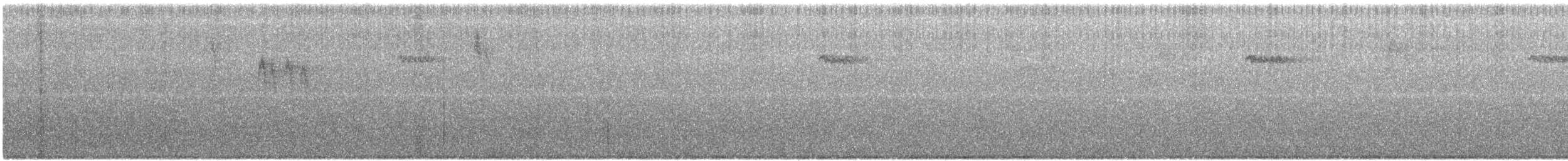 Brown Creeper - ML373932661