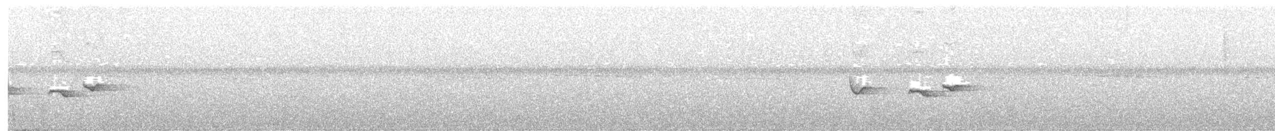 Neumann's Warbler - ML373985381