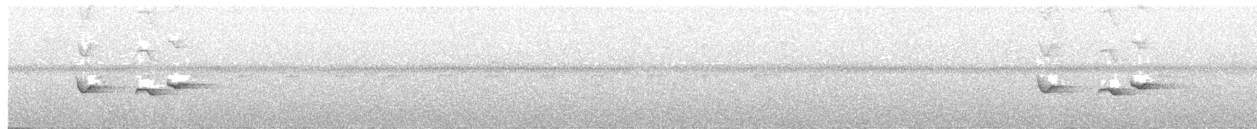 Neumann's Warbler - ML373985391