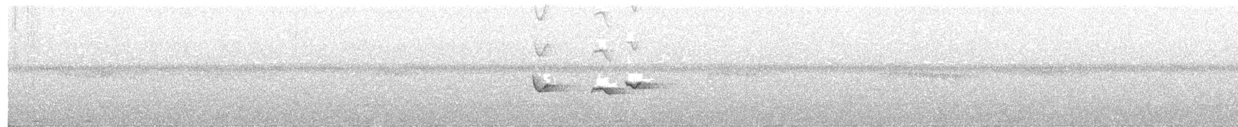 Neumann's Warbler - ML373985411