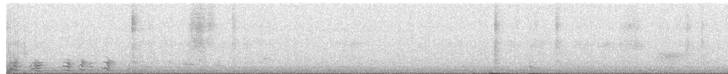 Медівник рогодзьобий (підвид yorki) - ML373994401