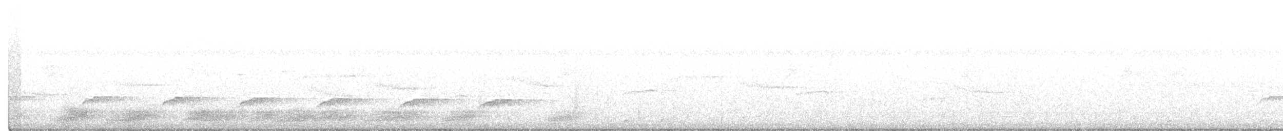 Çalı Guguğu (sepulcralis/everetti) - ML373995801
