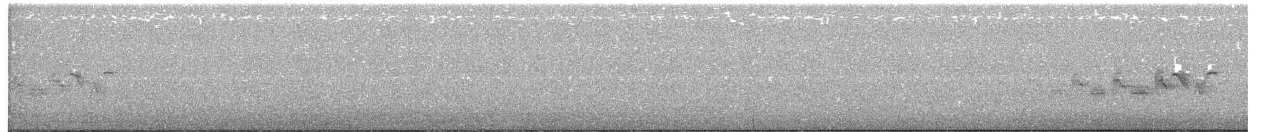 Black-throated Gray Warbler - ML374180031