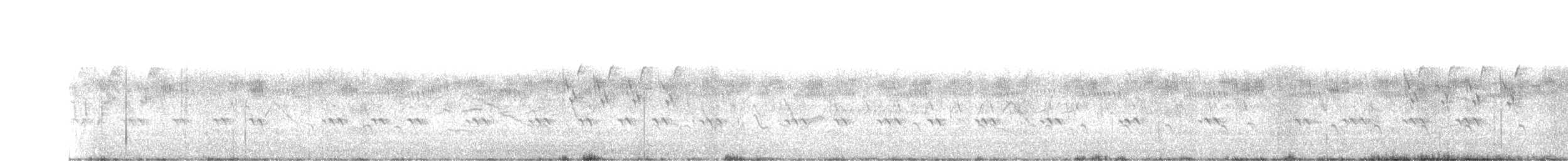 Синехвостая щурка - ML374181971