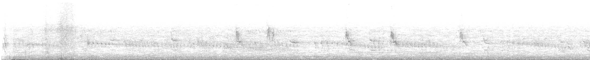 White-billed Buffalo-Weaver - ML374182251