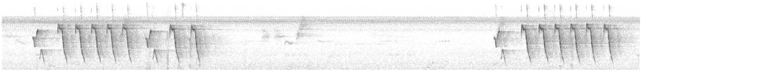 Black-chested Sparrow - ML374231711