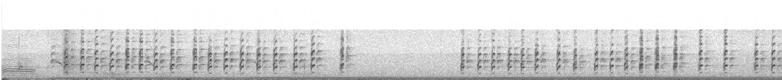 Black-necked Stilt - ML374313501