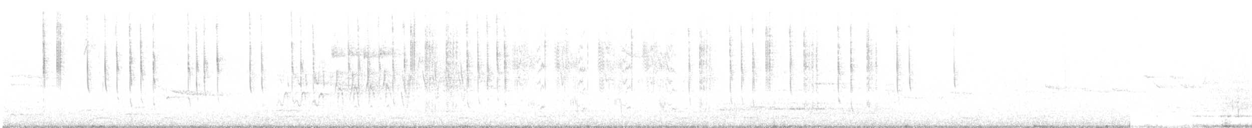 White-eared Hummingbird - ML374341921