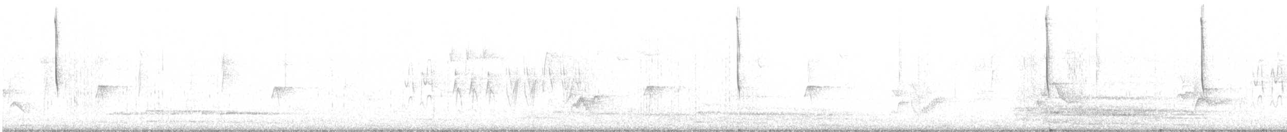 Белоухий колибри - ML374342051
