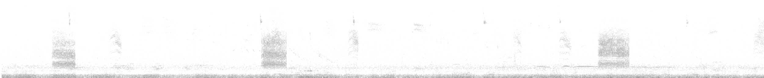 Grass Wren (Northern) - ML374343331