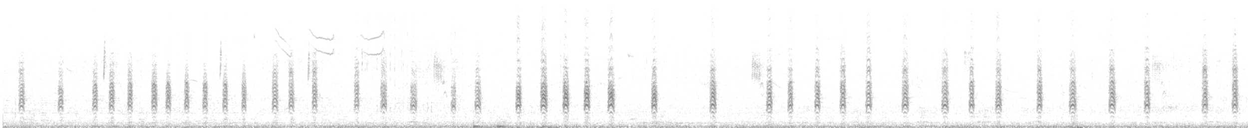 Cucarachero Sabanero (grupo elegans) - ML374347241