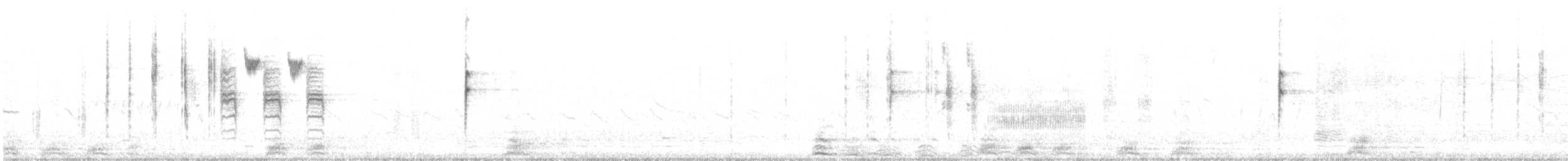 Cucarachero Sabanero (grupo elegans) - ML374347311